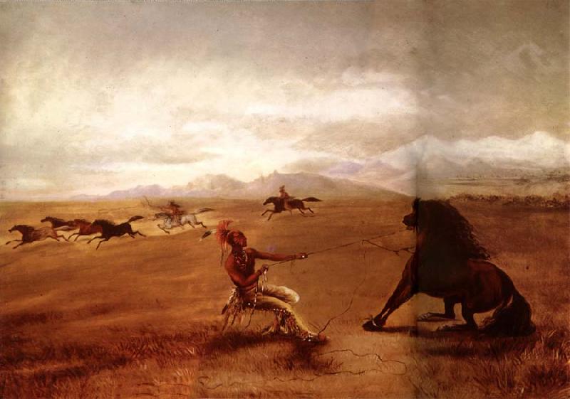 George Catlin Catching wild horses Germany oil painting art